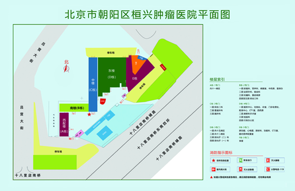 日逼黄色北京市朝阳区桓兴肿瘤医院平面图